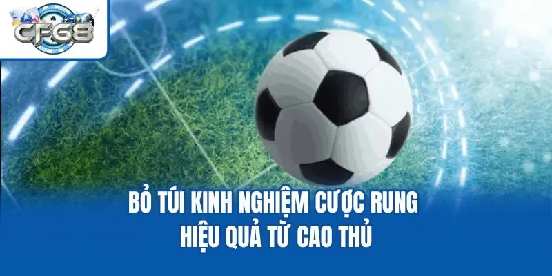 Bỏ túi kinh nghiệm cược rung hiệu quả từ cao thủ